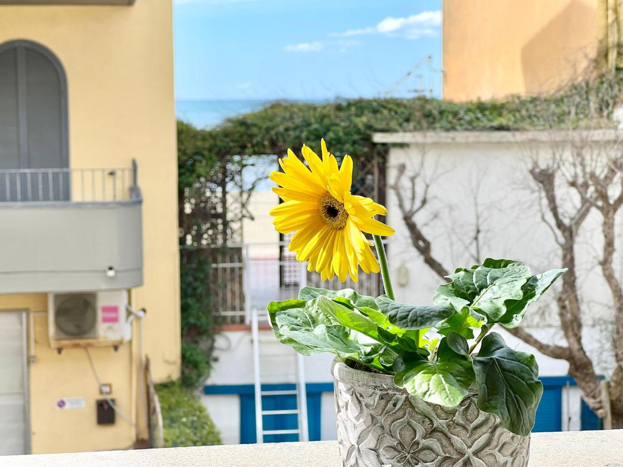 Mono Rosina, Aria Condizionata E Balcone A Soli 50 Metri Dal Mare! By Alfareal 卡斯蒂里昂纳·德拉佩 外观 照片